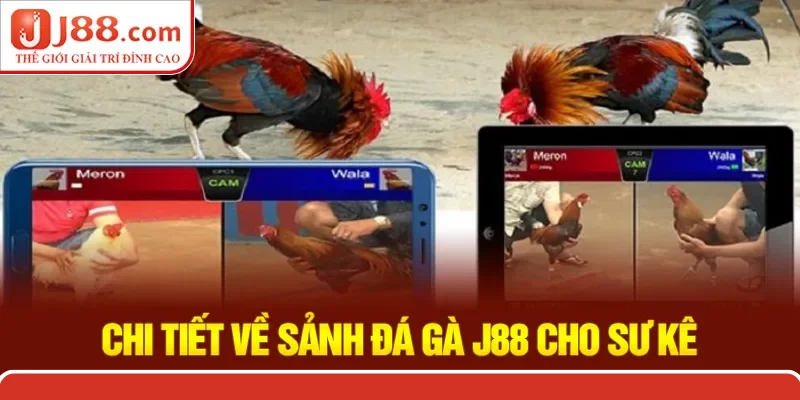 Giới thiệu chi tiết về sảnh chọi kê triệu đô nhà J88